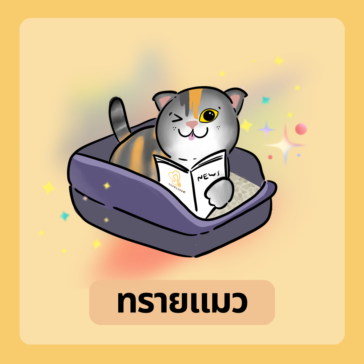 ทรายแมว